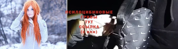хмурый Вязьма