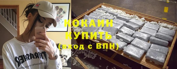 первитин Гусев