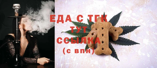первитин Гусев