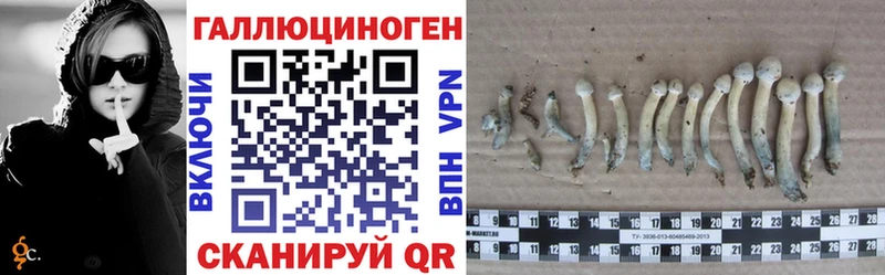 Псилоцибиновые грибы MAGIC MUSHROOMS  Демидов 